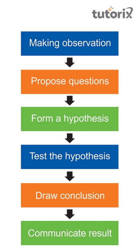 using science skills analyzing a laboratory investigation|what is a science investigation.